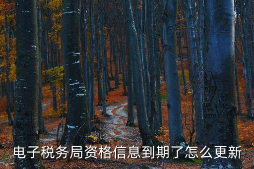 電子稅務局資格信息到期了怎么更新