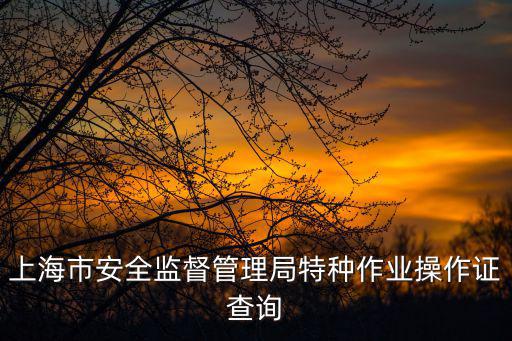上海市安全監督管理局特種作業操作證查詢