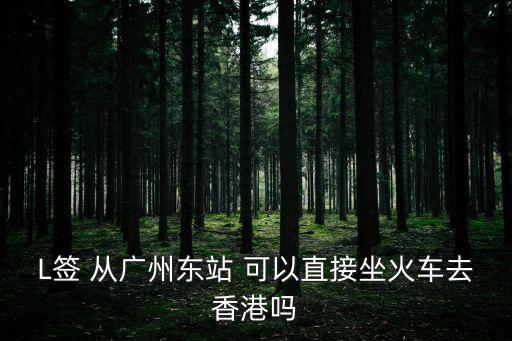 廣州東到香港 L簽，廣州東站火車站能簽證到香港