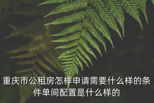 重慶市社區用房的配置標準，重慶市公租房怎樣申請需要什么樣的條件單間配置是什么樣的