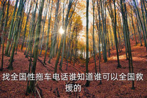 找全國性拖車電話誰知道誰可以全國救援的