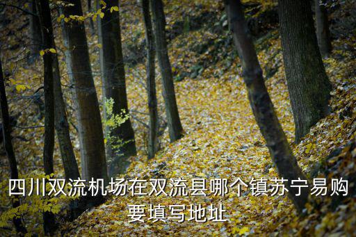 四川雙流機場在雙流縣哪個鎮蘇寧易購要填寫地址