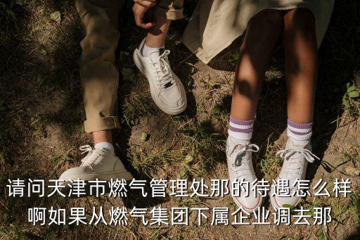 請(qǐng)問(wèn)天津市燃?xì)夤芾硖幠堑拇鲈趺礃影∪绻麖娜細(xì)饧瘓F(tuán)下屬企業(yè)調(diào)去那