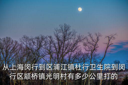 從上海閔行到區(qū)浦江鎮(zhèn)杜行衛(wèi)生院到閔行區(qū)顓橋鎮(zhèn)光明村有多少公里打的