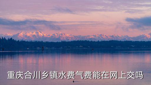 重慶合川鄉(xiāng)鎮(zhèn)水費氣費能在網(wǎng)上交嗎