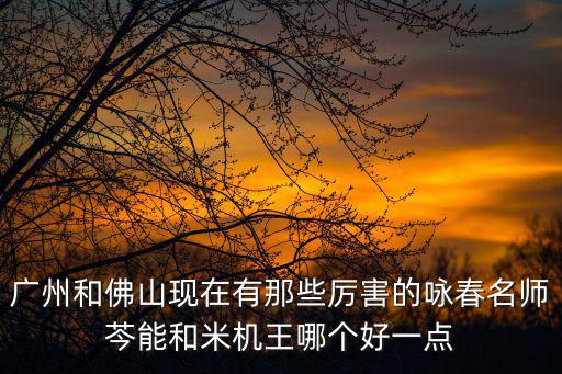 廣州和佛山現在有那些厲害的詠春名師芩能和米機王哪個好一點