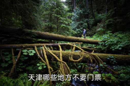 天津市二宮要門票嗎，天津二宮開放了嗎