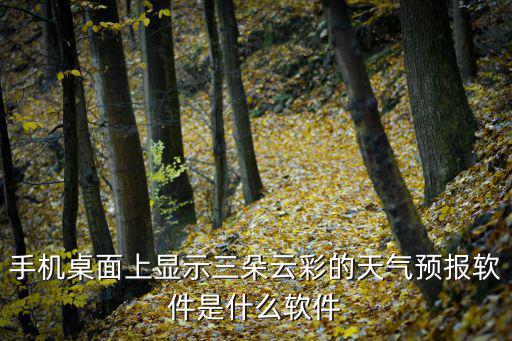 彩云天氣預(yù)報下載，天氣預(yù)報下載哪個好