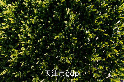 天津市gdp