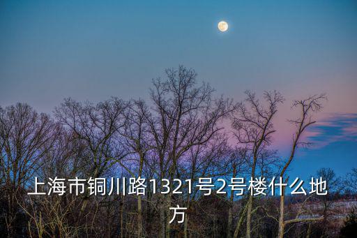 上海市新松嘉園，上海市七心路