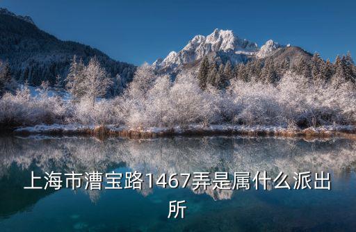 上海各區(qū)派出所查詢，上海市漕寶路1467弄是屬什么派出所