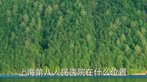 上海第八人民醫院在什么位置