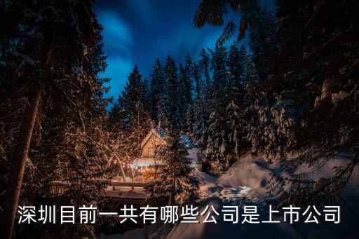 深圳目前一共有哪些公司是上市公司