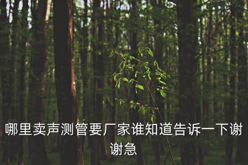 哪里賣聲測管要廠家誰知道告訴一下謝謝急
