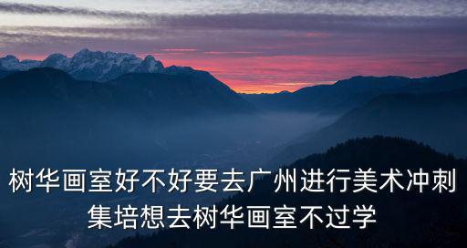 樹華畫室好不好要去廣州進行美術沖刺集培想去樹華畫室不過學