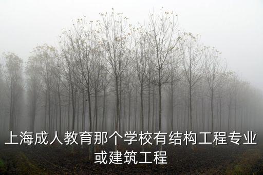 上海成人教育那個學校有結構工程專業或建筑工程