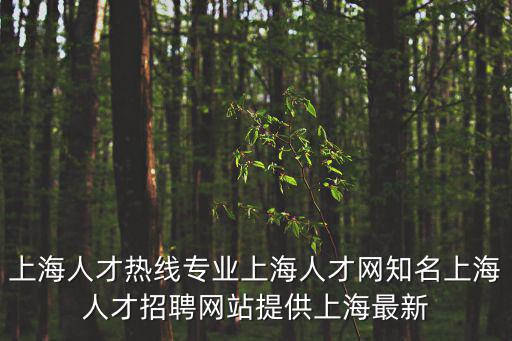 上海人才熱線專業上海人才網知名上海人才招聘網站提供上海最新