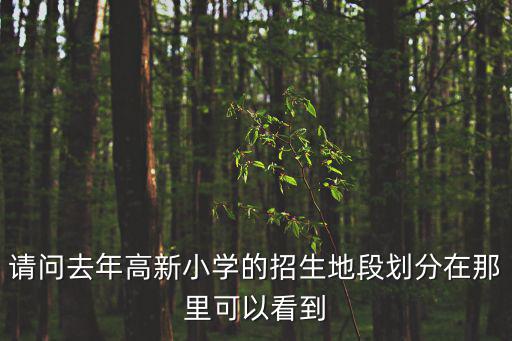 成都市高新區學區劃分2019，戶口在成都高新區可填報哪些高中