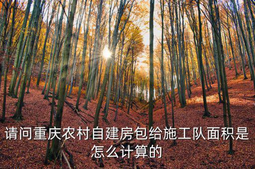 請問重慶農村自建房包給施工隊面積是怎么計算的