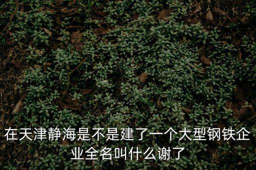 在天津靜海是不是建了一個大型鋼鐵企業全名叫什么謝了