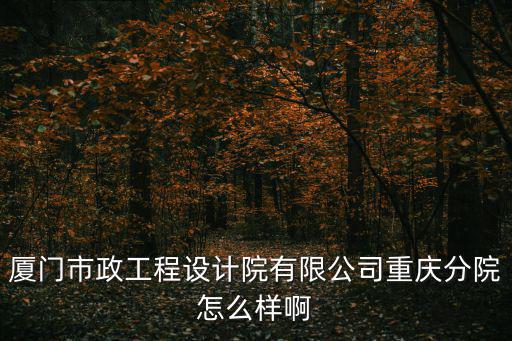 廈門市政工程設計院有限公司重慶分院怎么樣啊