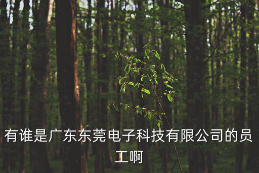 有誰是廣東東莞電子科技有限公司的員工啊