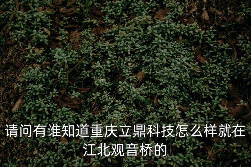 請問有誰知道重慶立鼎科技怎么樣就在江北觀音橋的