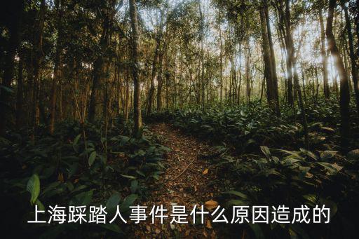 上海踩踏人事件是什么原因造成的