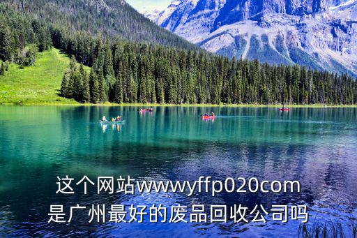 這個(gè)網(wǎng)站wwwyffp020com是廣州最好的廢品回收公司嗎