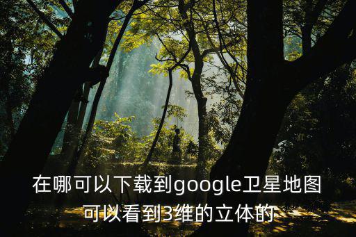 在哪可以下載到google衛星地圖可以看到3維的立體的