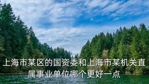 上海市某區的國資委和上海市某機關直屬事業單位哪個更好一點