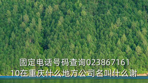 重慶市通達(dá)投資有限公司電話號碼，重慶號碼查詢