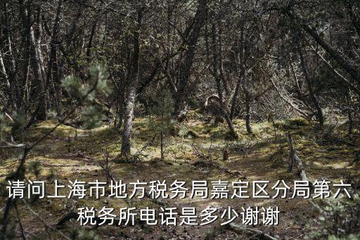 請問上海市地方稅務局嘉定區分局第六稅務所電話是多少謝謝