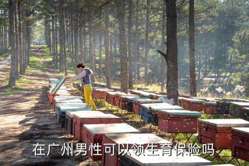 在廣州男性可以領(lǐng)生育保險嗎