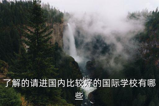 了解的請(qǐng)進(jìn)國(guó)內(nèi)比較好的國(guó)際學(xué)校有哪些