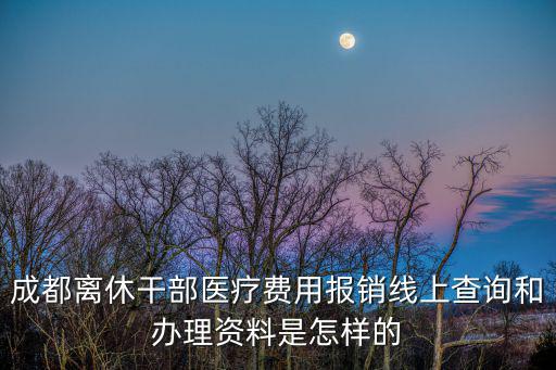 成都市醫療保障局檔案 永本，成都社?？ㄑa辦要有哪些資料
