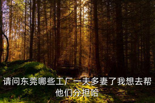 請問東莞哪些工廠一夫多妻了我想去幫他們分擔哈