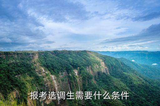 天津市選調應屆優秀，報考選調生需要什么條件