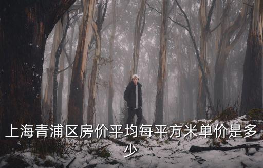 上海青浦區(qū)房價平均每平方米單價是多少