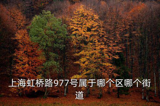 上海虹橋路977號屬于哪個區哪個街道