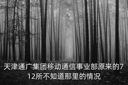天津通廣集團(tuán)移動(dòng)通信事業(yè)部原來的712所不知道那里的情況