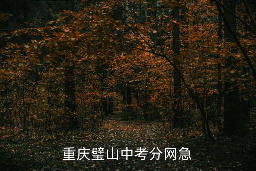 重慶璧山中考分網(wǎng)急