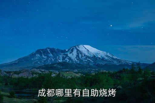成都哪里有自助燒烤