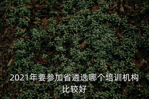 2021年要參加省遴選哪個培訓(xùn)機構(gòu)比較好
