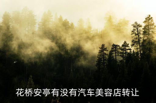 花橋安亭有沒有汽車美容店轉讓