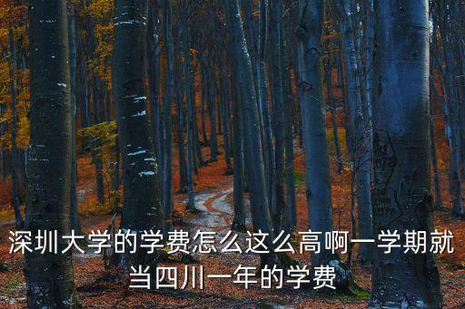 深圳大學的學費怎么這么高啊一學期就當四川一年的學費