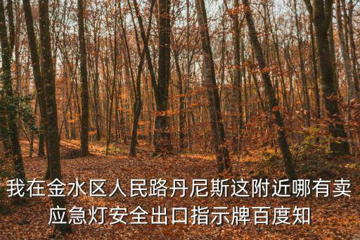 上海市人民路有幾家買燈具店，人民路美地廣場菲利浦燈具店現(xiàn)在還有嗎