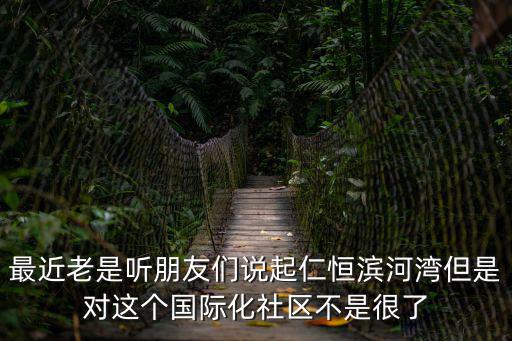 最近老是聽朋友們說起仁恒濱河灣但是對這個國際化社區不是很了
