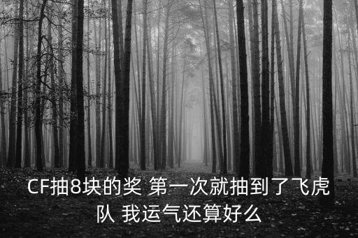 CF抽8塊的獎 第一次就抽到了飛虎隊 我運氣還算好么