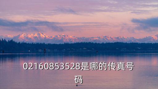 上海市同濟醫院 傳真，02160853528是哪的傳真號碼